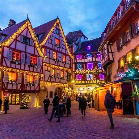 Houssen/Colmar: « Chez Lin'Doux », Le Nid Alsacien Lägenhet Exteriör bild